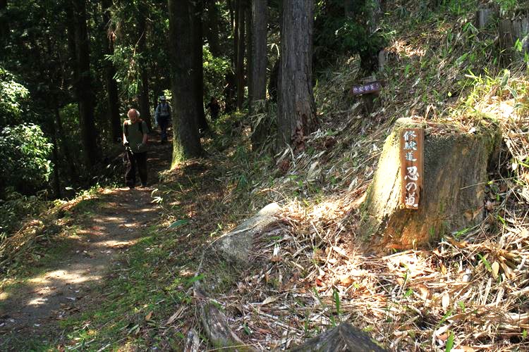 11.忍者が技を磨いた忍びの道