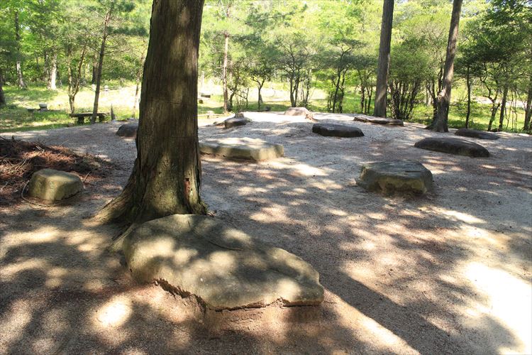 2.紫香楽宮跡には柱の礎石だけが残る