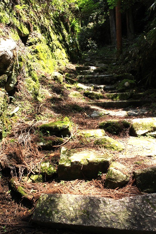 6.苔むして歴史を感じさせる神社入口