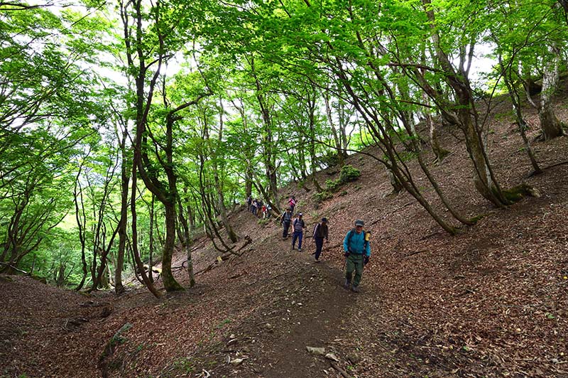 1.心地よい夏山道
