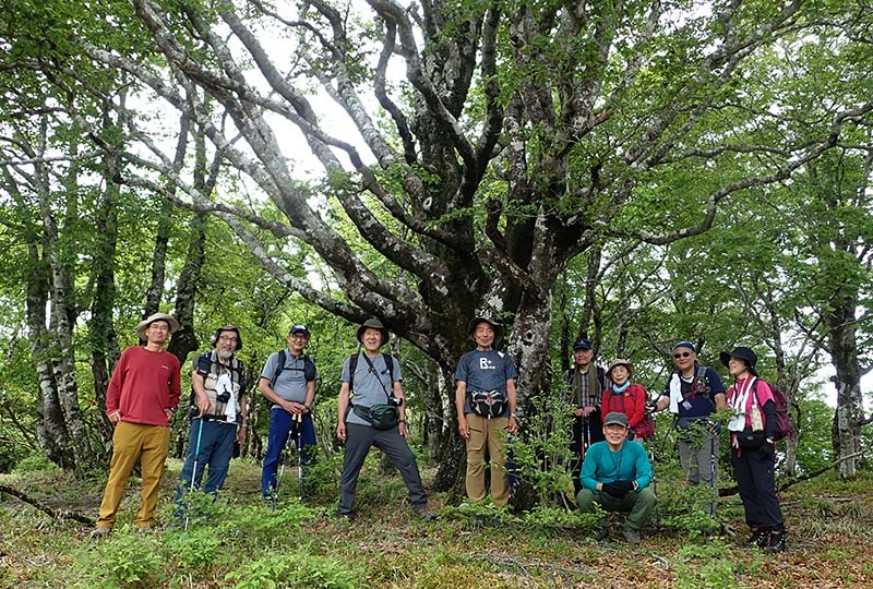 9.ブナ様の前で