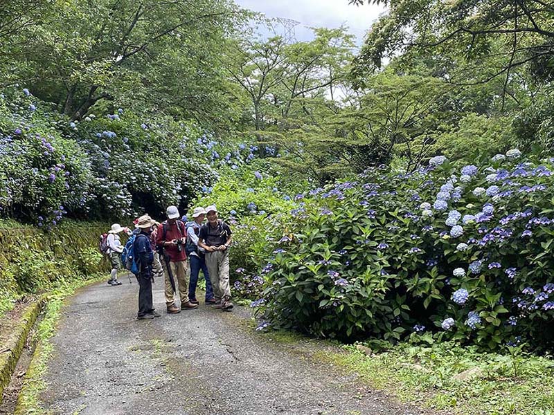 3.プロムナード