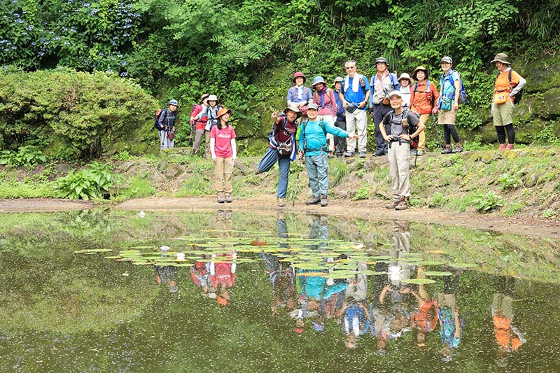6.どんぐり池の睡蓮