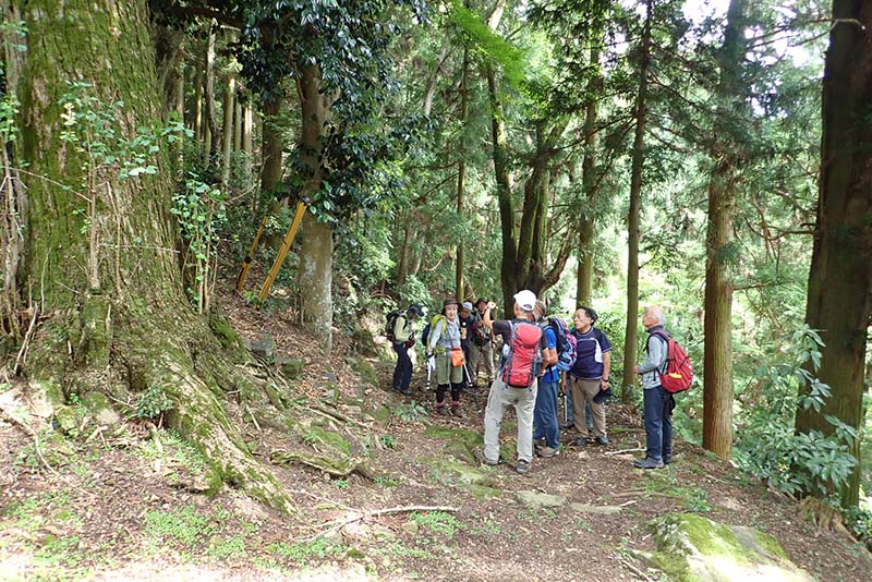 2.この実、この木はなんだ？