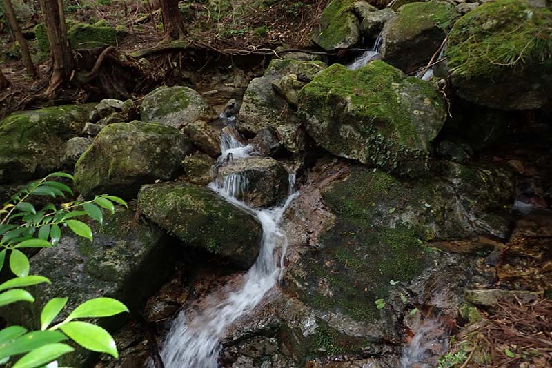 6.音羽川の始まりか？