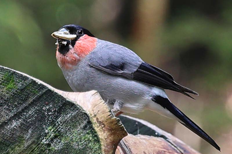 14.しらびそ小屋にて