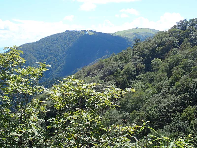 7.打見山～蓬莱山