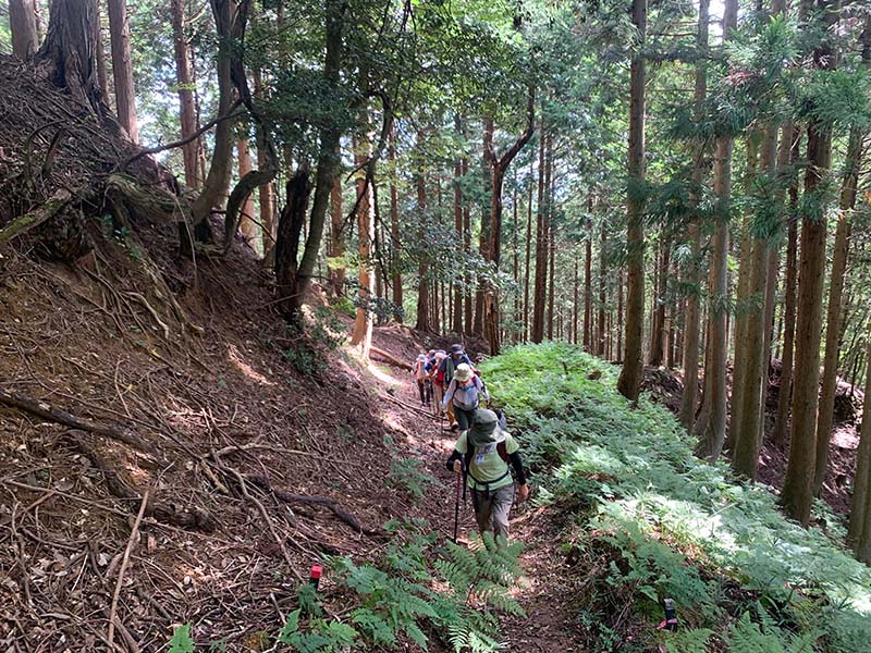 2.長閑な登山道だが…