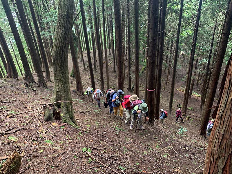 5.山頂までもう少し、ガンバ！