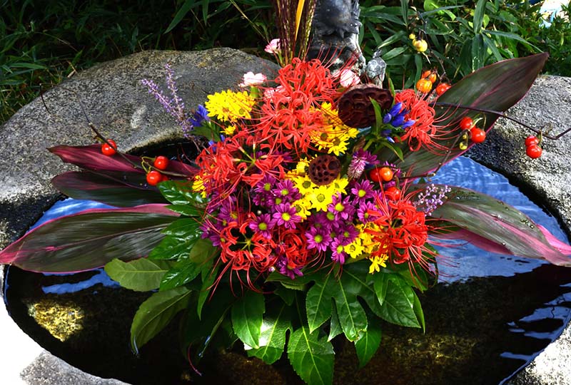 1.平等寺の花手水