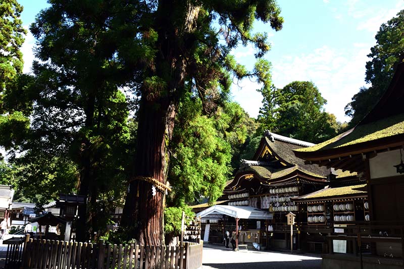 2.大神神社