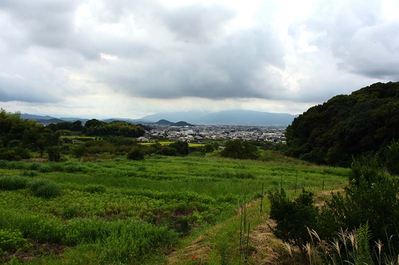 5.雲の下の大和三山