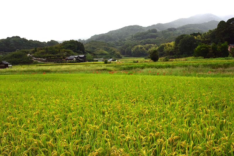 8.いかにも大和