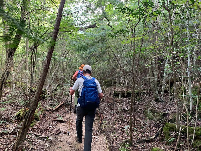 2.密林を抜ける