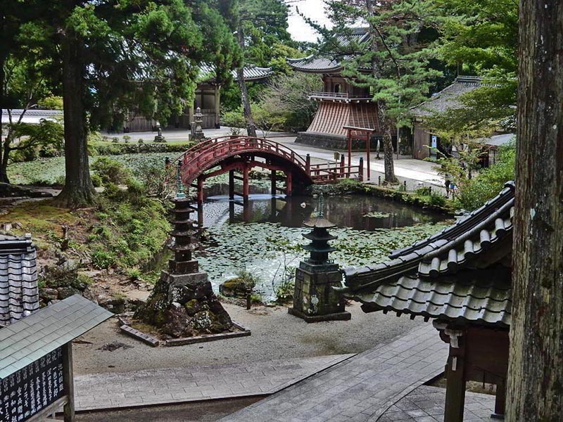 6.金剛證寺庭園