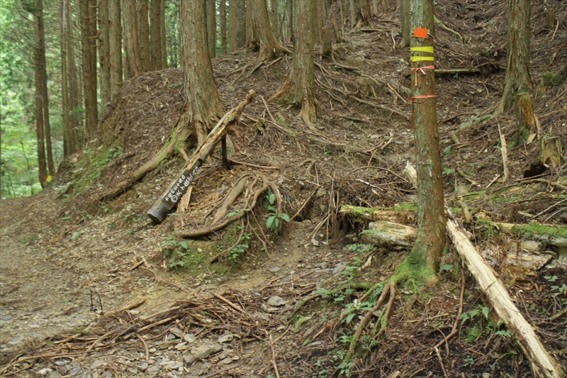 1.シャクナゲ尾根取りつき点