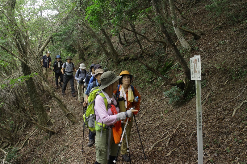 5.天ヶ岳への分岐点