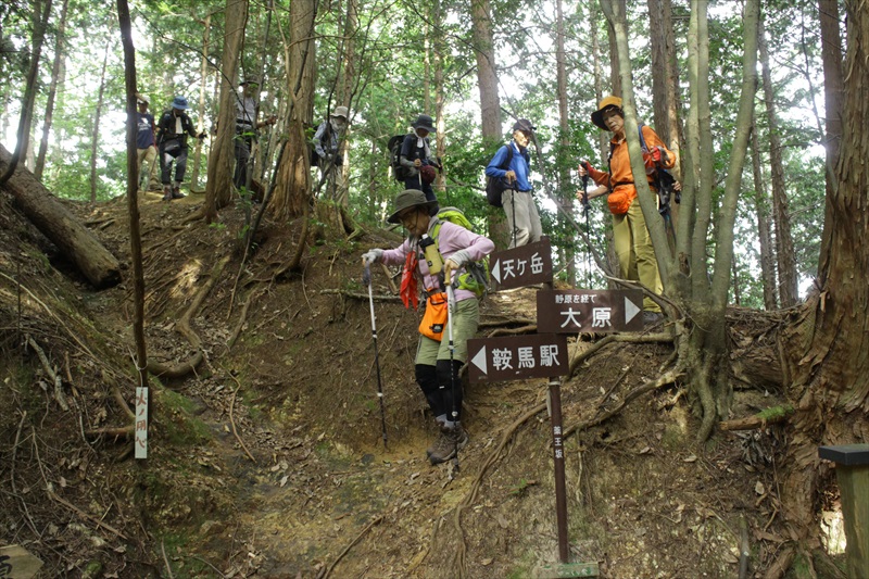 9.薬王坂への下り