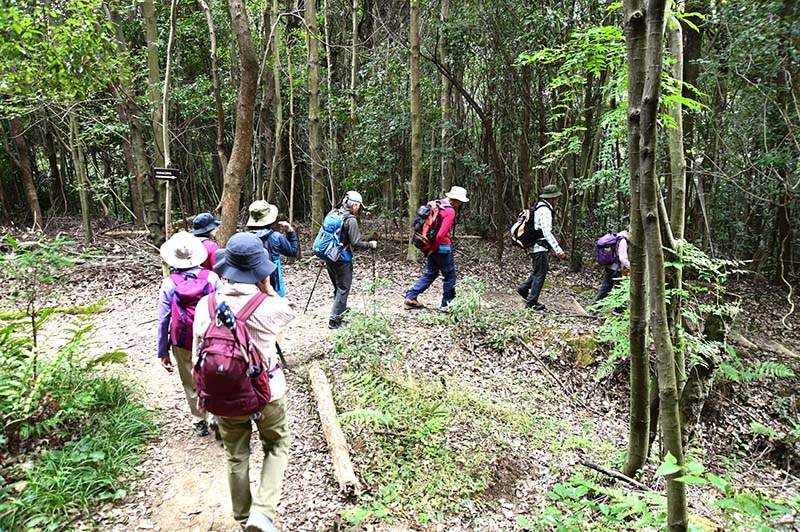 5.畝火山口神社方面へ下山