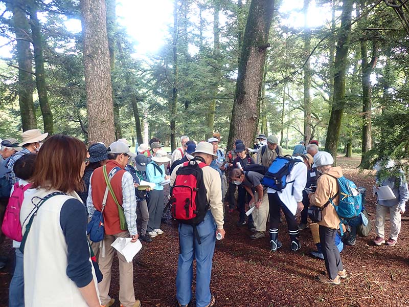 2.観察会の様子