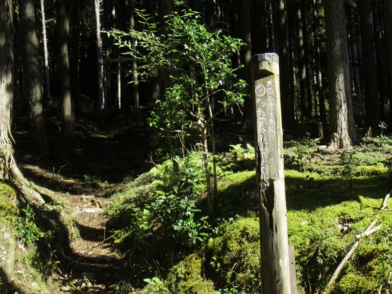 2.天ヶ森(ナッチョ）の入山点