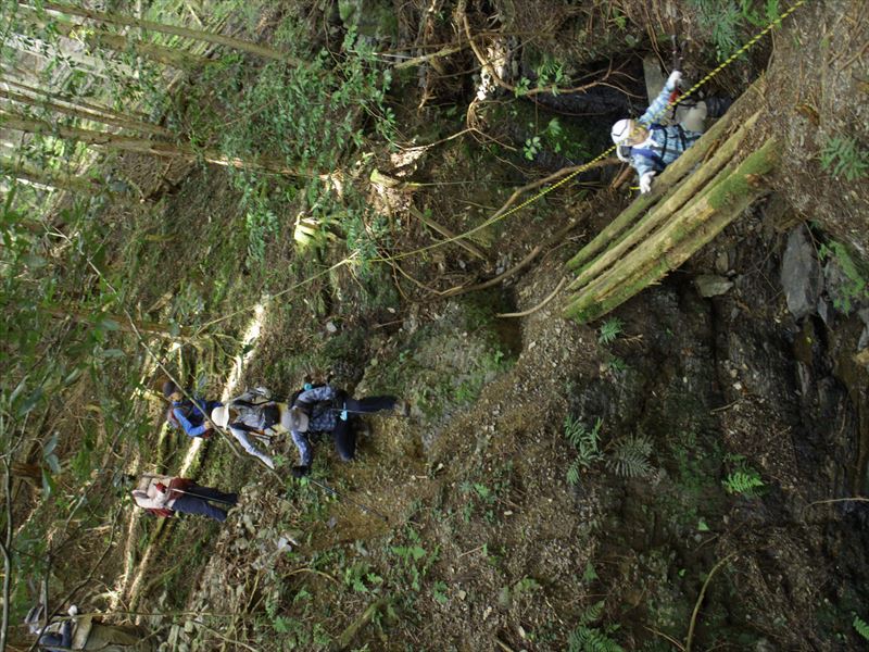 7.最後に渡る沢橋の下を行く
