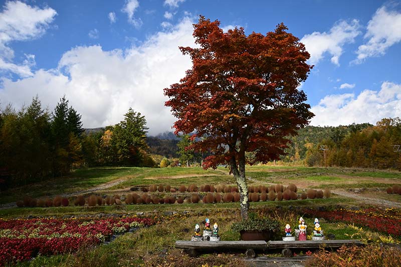 8.飯森高原駅前