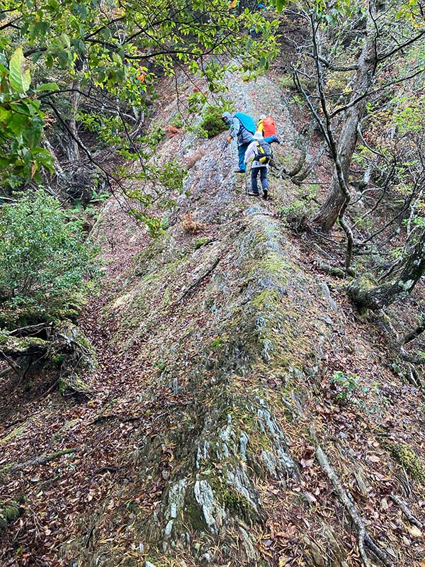 5.やせ尾根を恐る恐る通過？