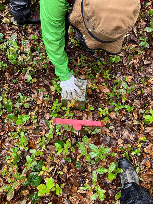 8.三角点にタッチ
