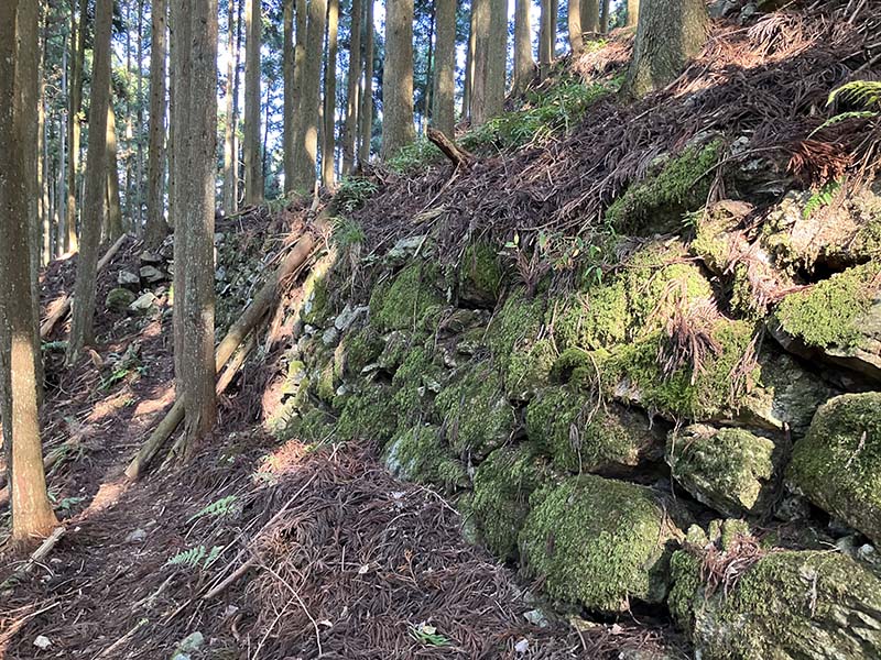 6.壮大な石垣①