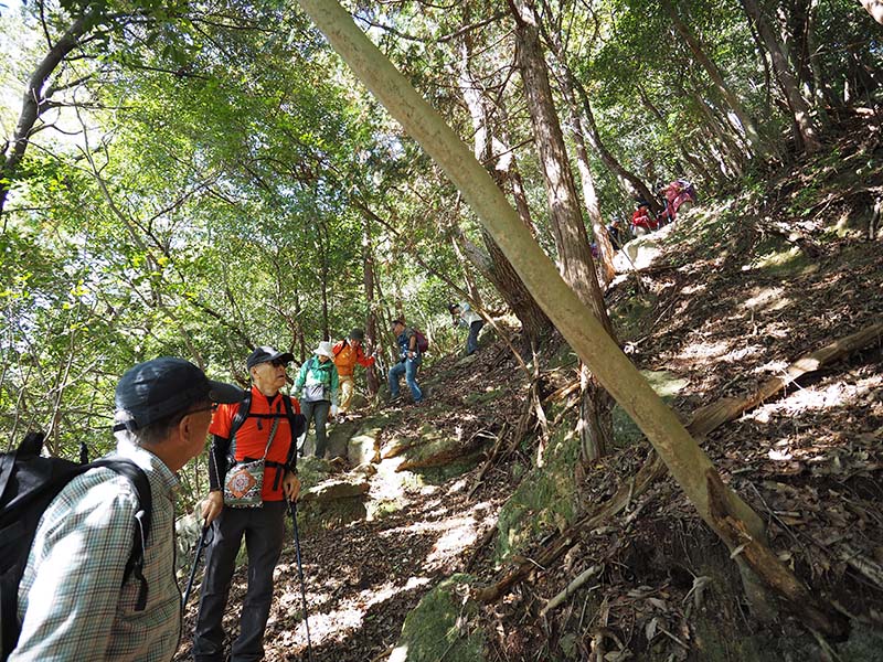 5.荒れた道を下る