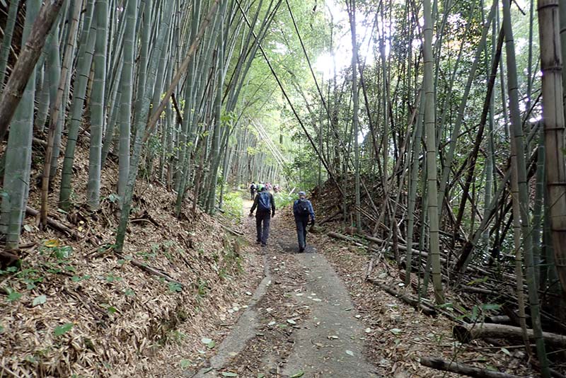 3.旧山陰道　２