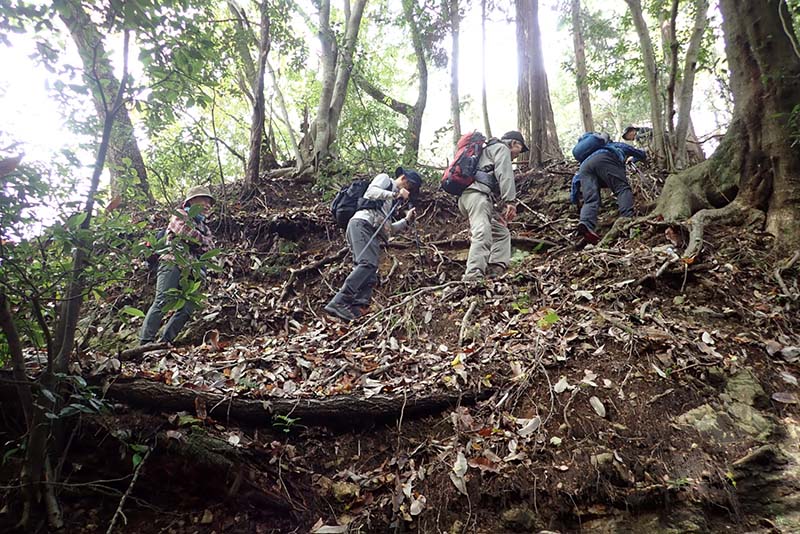 6.洛西散策の森　入口