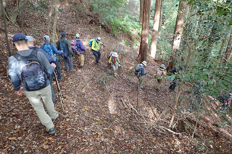 8.洛西散策の森　下り道