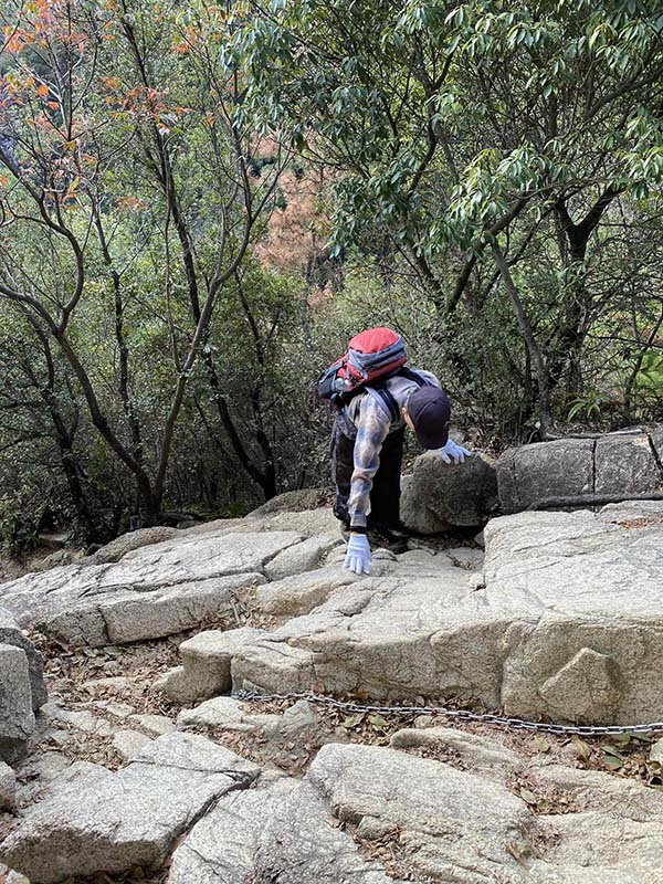 1.ロックガーデン１