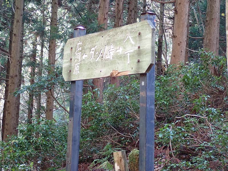 11.ダンノ峠