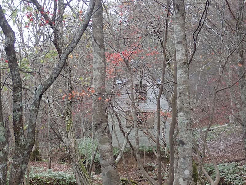 3.新心荘に到着