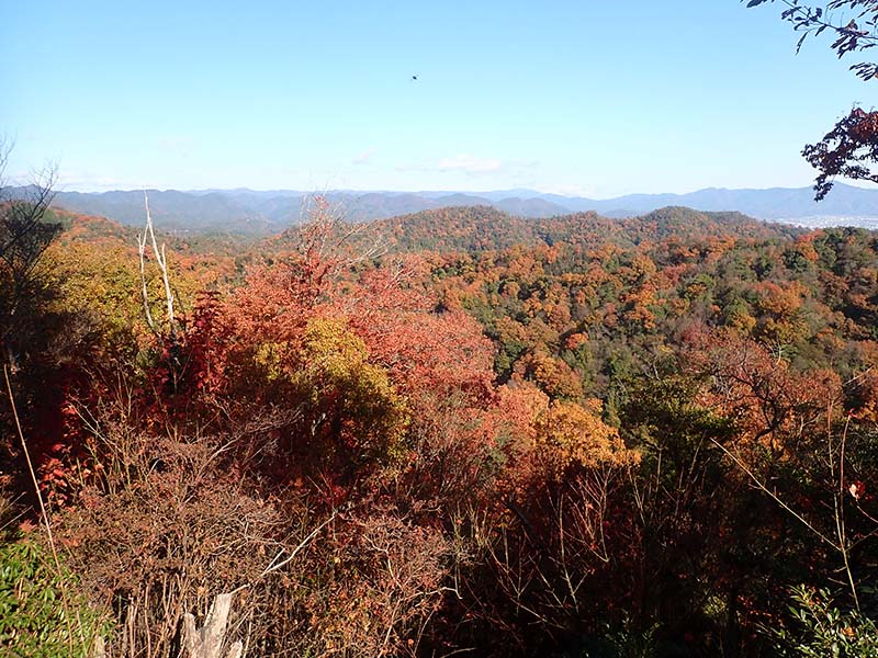 4.カモメ尾根より東の展望