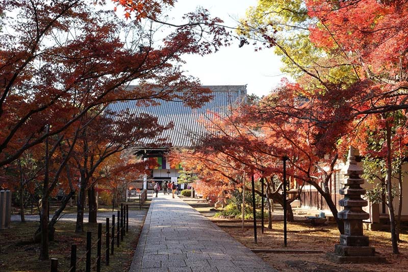 10.光明院　本堂