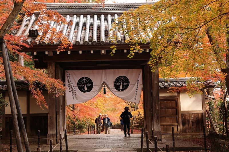 13.薬医門の見える参道　1