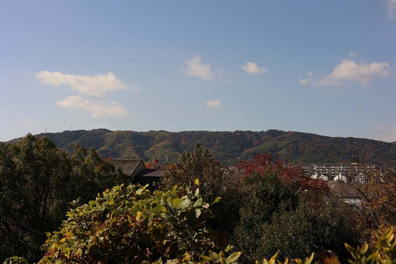 5.天王山光秀も見ていたかも