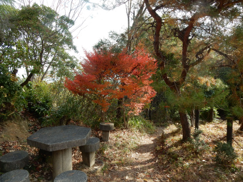 7.右の松の木が旗立松