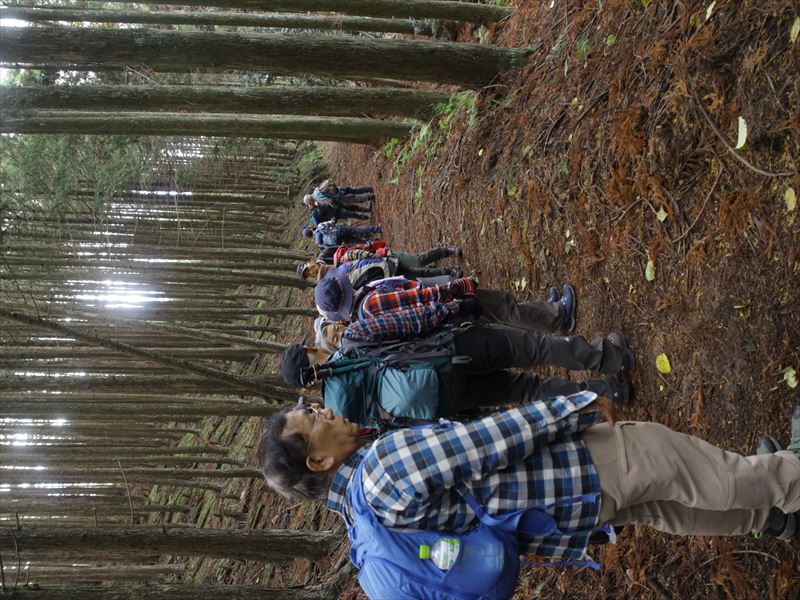 3.ユリ道は広く整備されている