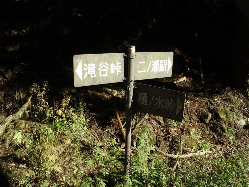 8.ユリ道に戻る