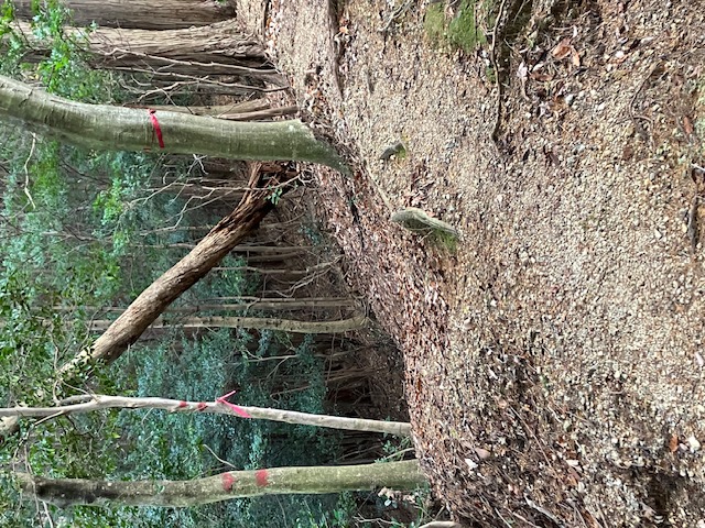 4.右に行けば江文峠。左のけもの道を下ります。