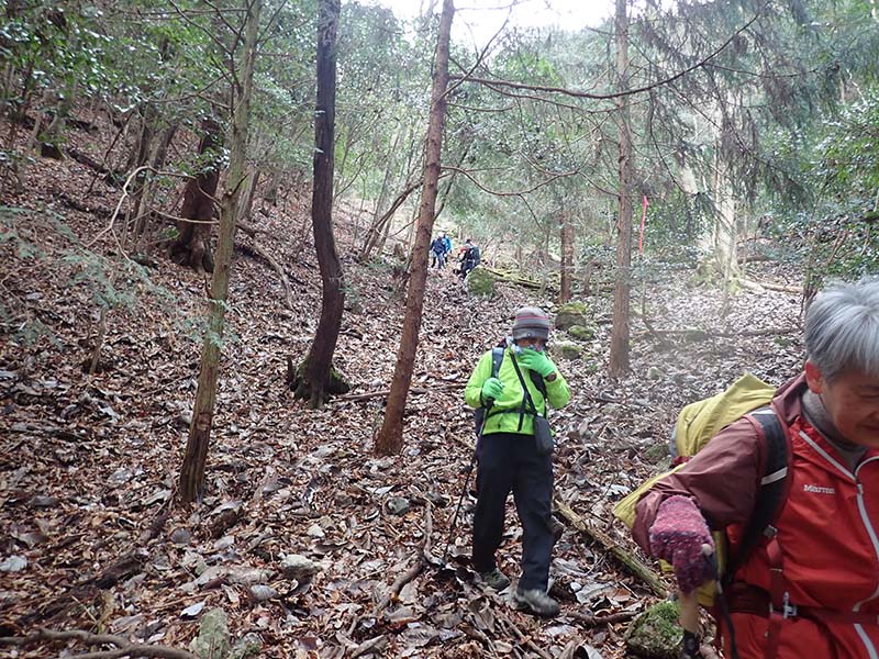 5.道なき道をひたすら下る