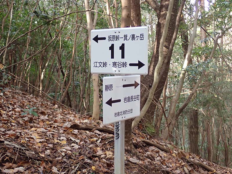 6.ここから西に向かって蓑裏ヶ岳を目指します