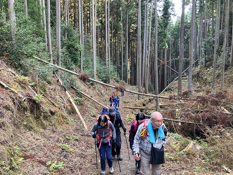 5.ゆっくりと登る