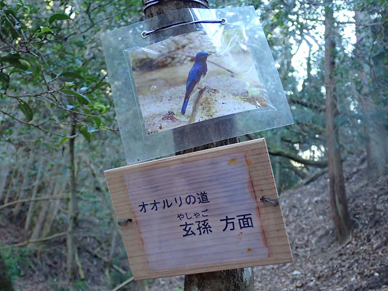 4.玄孫に上る新しい道