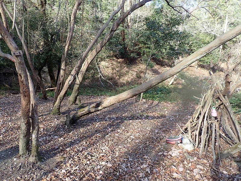 7.天の原のフライパン